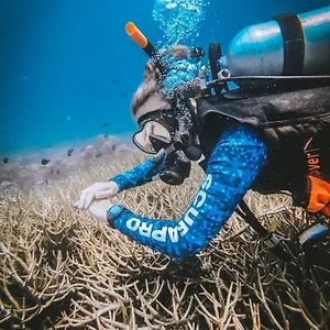 Dpm Diving & Bar Ko Tao